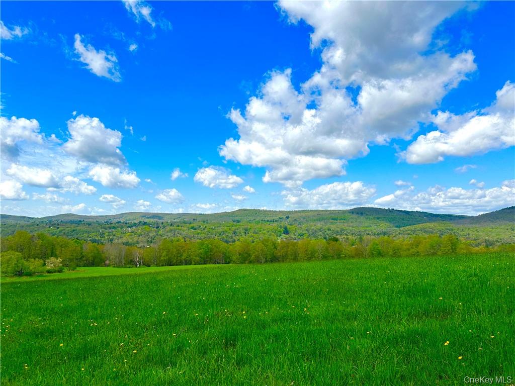 6049 State Rte 55 Liberty, NY 12754 - Photo 44 of 50 a view of yard with green space