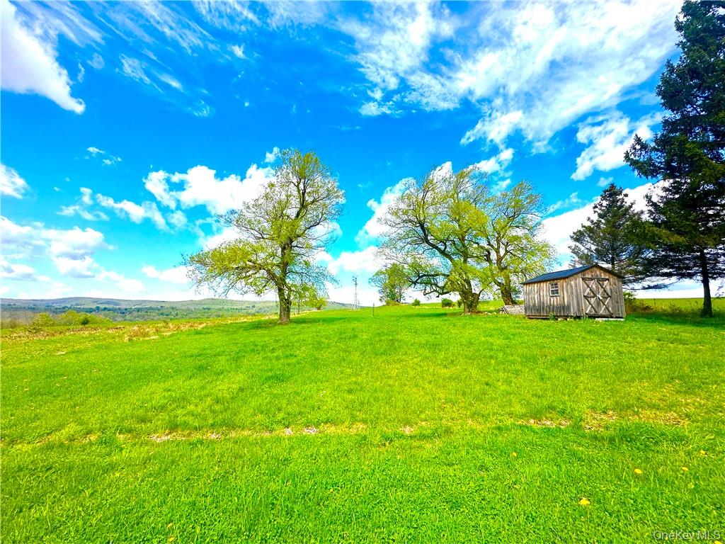 6049 State Rte 55 Liberty, NY 12754 - Photo 46 of 50 a view of a tree with a yard