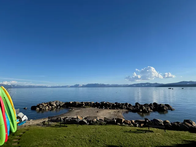 a view of a room with lots of green space and lots of trees