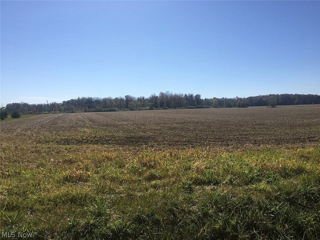 Abbeyville Road Medina, OH 44256 - Photo 2 of 3