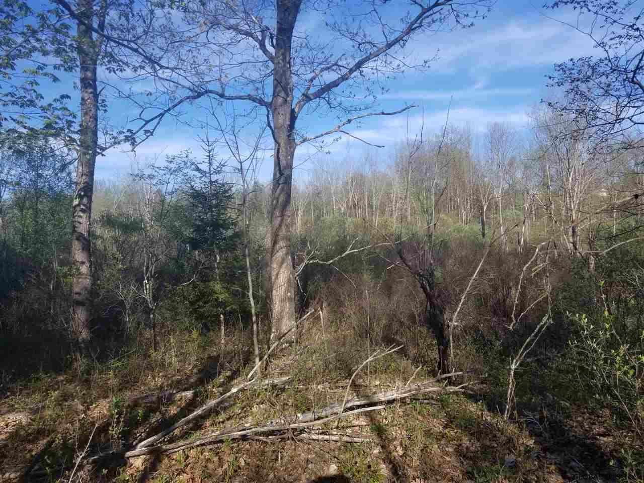 54 Willsey Road Rensselaerville, NY 12120 - Photo 18 of 18 Photo 18