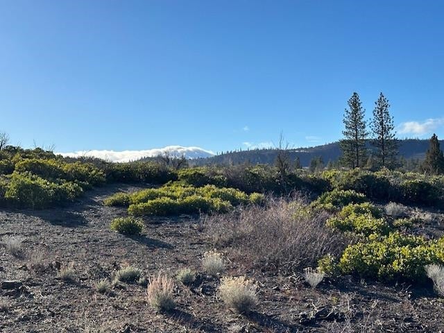 8 Jackson Ranch Road Weed, CA 96094 - Photo 5 of 6 Gallery Image 5