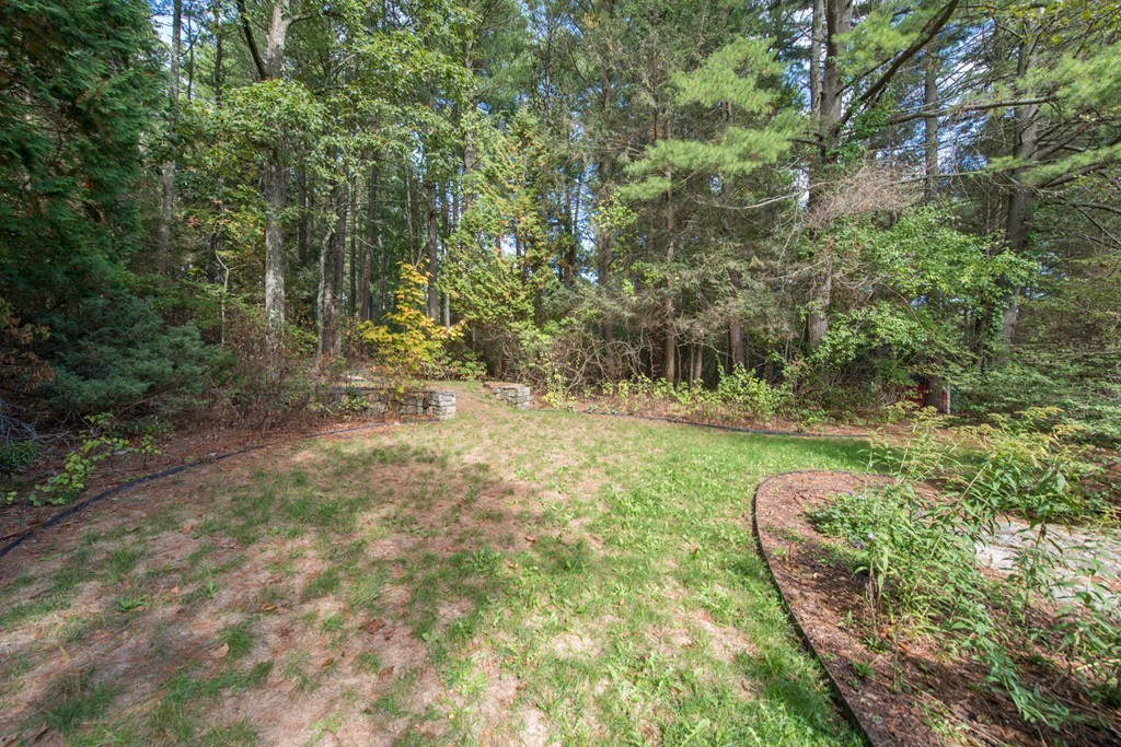 32 Bay State Road Weston, MA 02493 - Photo 30 of 30 a view of a garden with plants