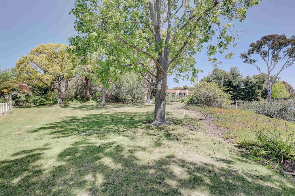 1982 Fairlee Drive Encinitas, CA 92024 - Photo 37 of 48