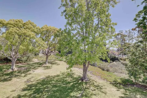 a view of a yard with a tree