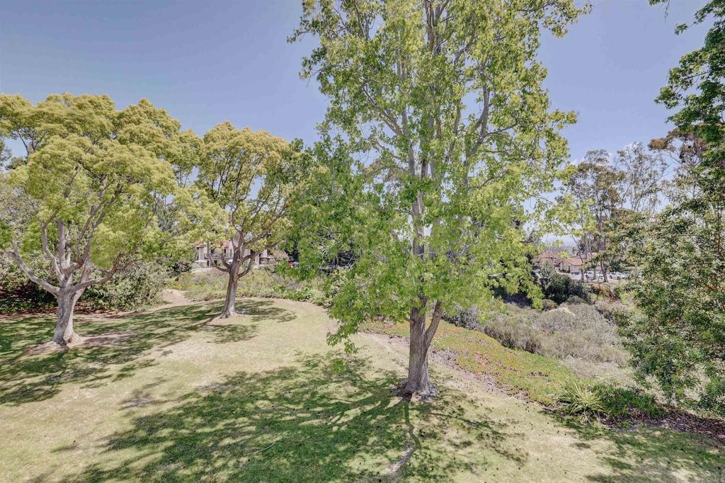 1982 Fairlee Drive Encinitas, CA 92024 - Photo 4 of 48