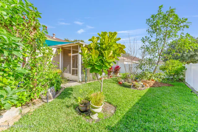 a view of a backyard with plants
