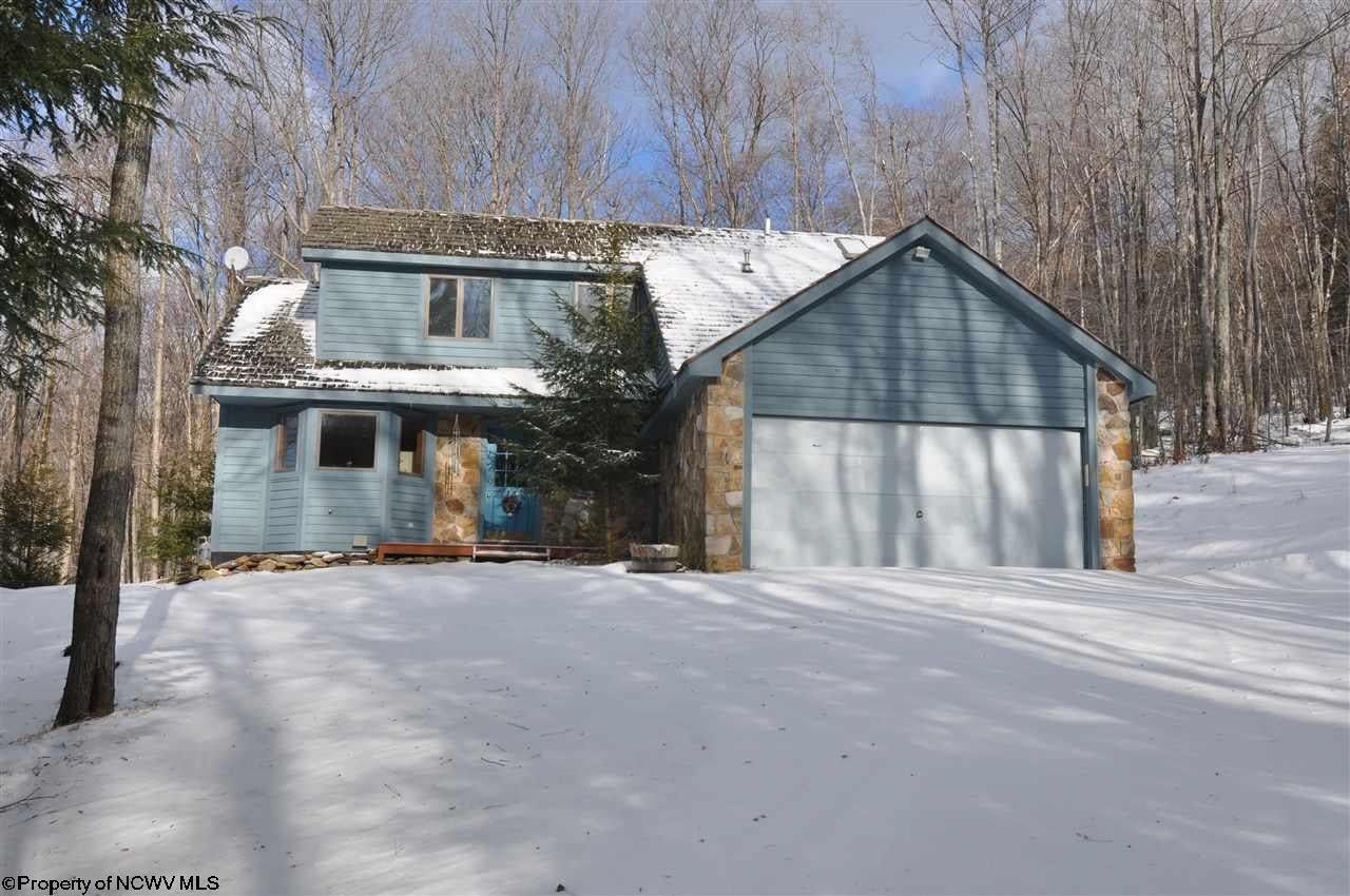 1148 Cabin Mountain Road Davis, WV 26260 - Photo 4 of 18 Gallery Image 4