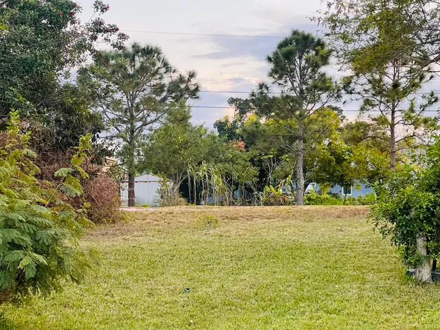 a view of yard with large trees