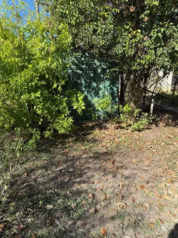 a view of a yard with plants and trees