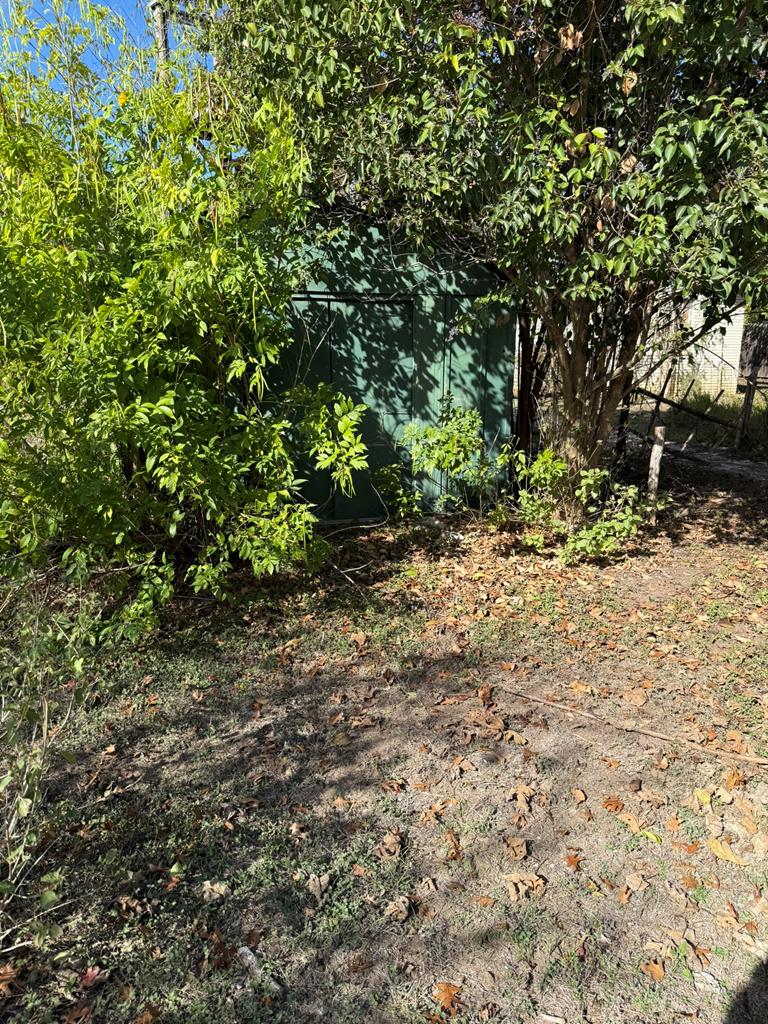 11 Main Street Blanco, TX 78606 - Photo 15 of 15 a view of a yard with plants and trees