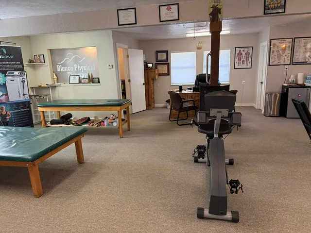 a living room with gym equipment