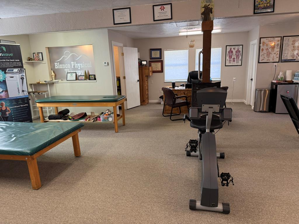 11 Main Street Blanco, TX 78606 - Photo 9 of 15 a living room with gym equipment