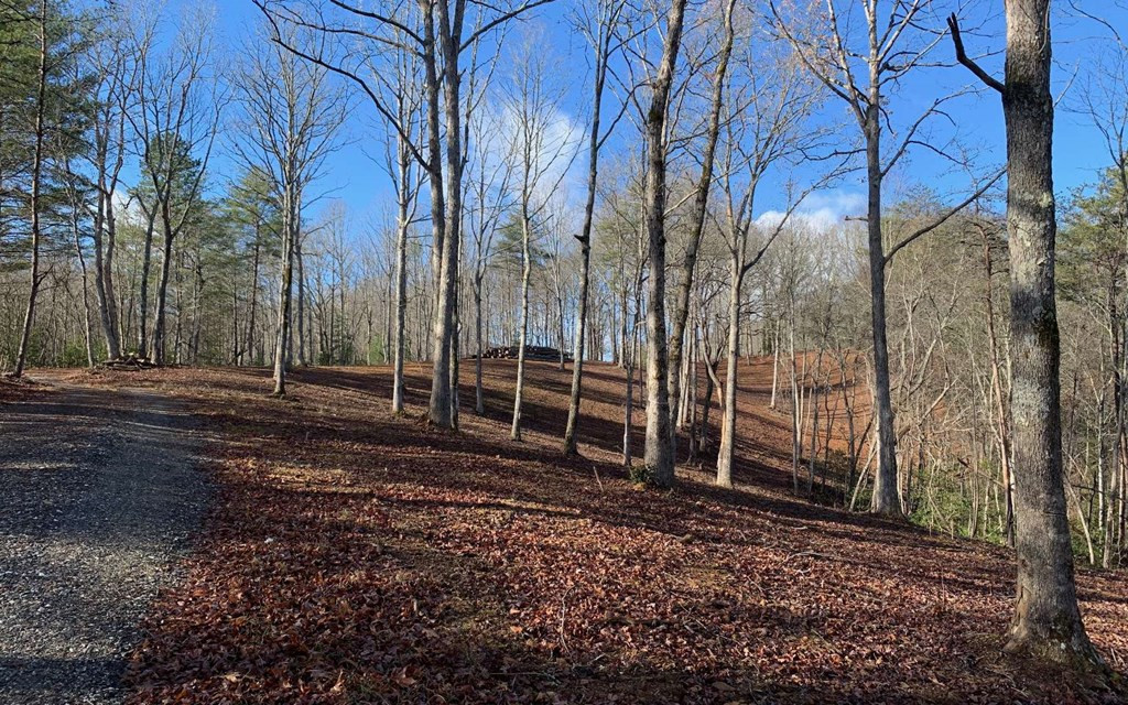 7-acres Payne Road Brasstown, NC 28902 - Photo 47 of 57 Gallery Image 47