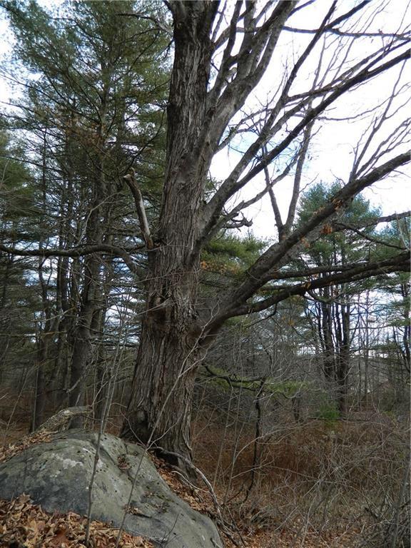 66 River Road Biddeford, ME 04005 - Photo 28 of 32 Really Mature Landscaping