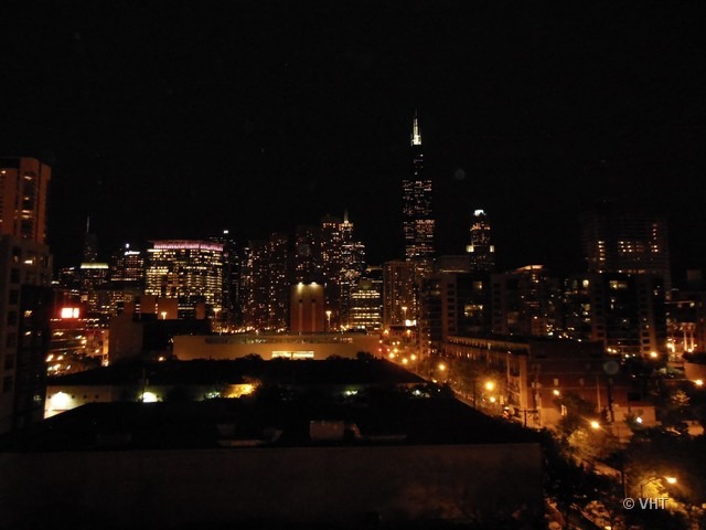 950 West Monroe Street, Unit 701 Chicago, IL 60607 - Photo 21 of 22