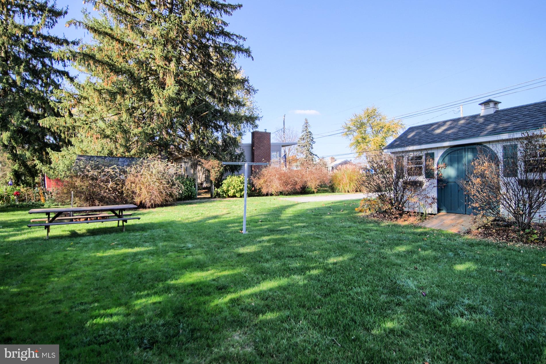 Rear Yard