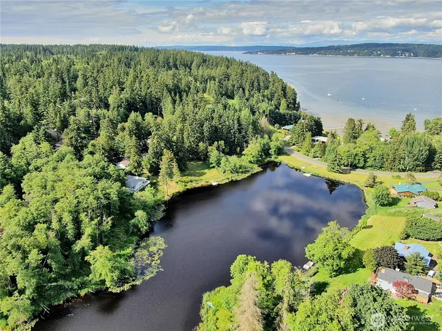 a view of a garden with a lot of flower plants