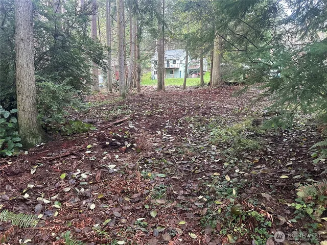 a view of a yard with plants and trees