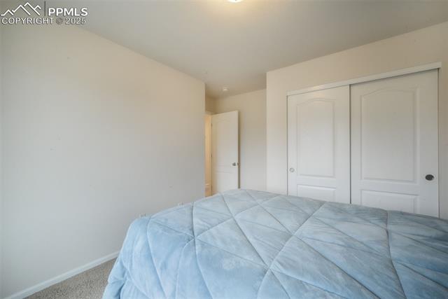 823 Spectrum Loop Colorado Springs, CO 80921 - Photo 30 of 50