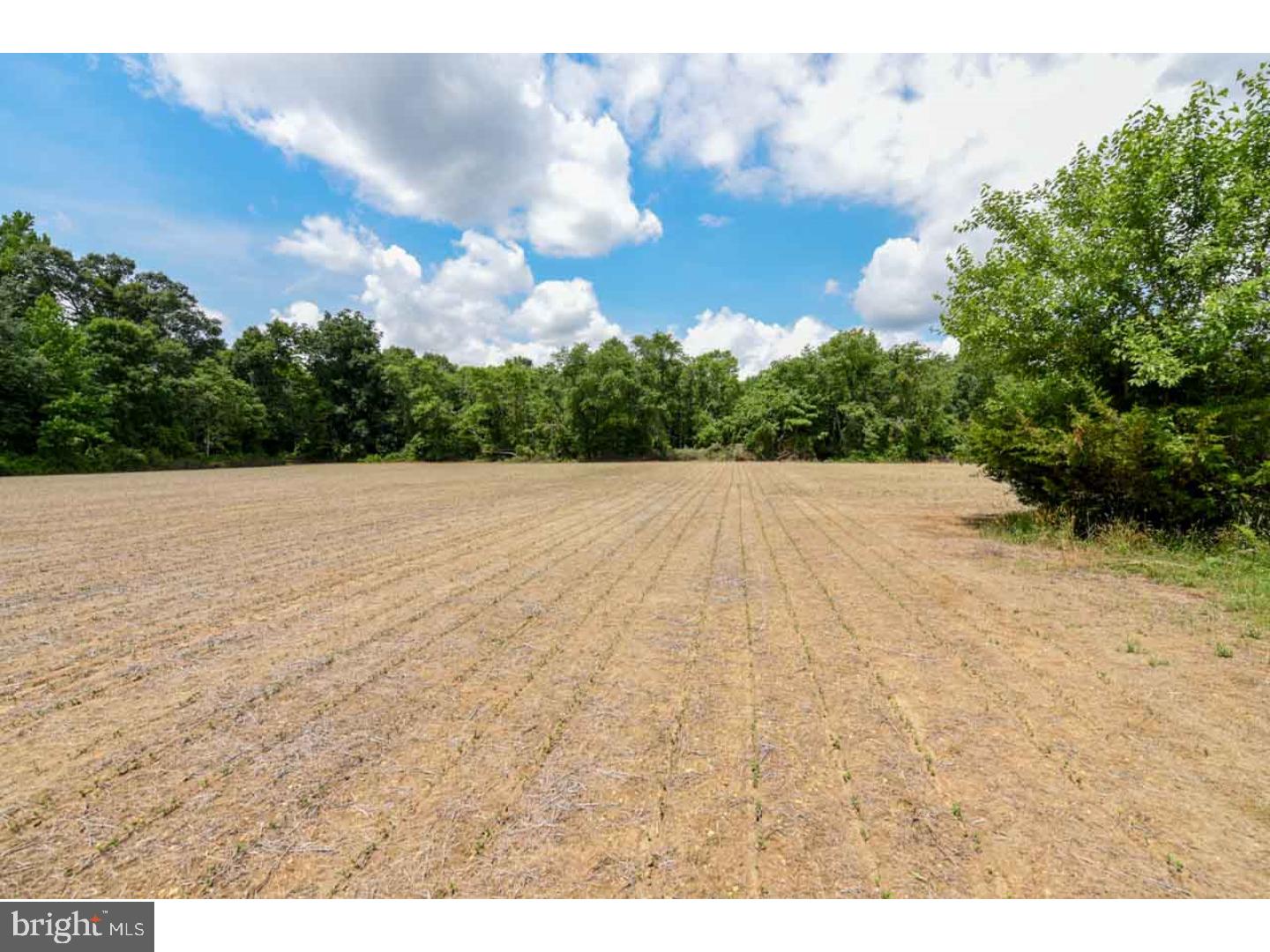 45 Crystal Road Pittsgrove, NJ 08318 - Photo 14 of 25 Crop field