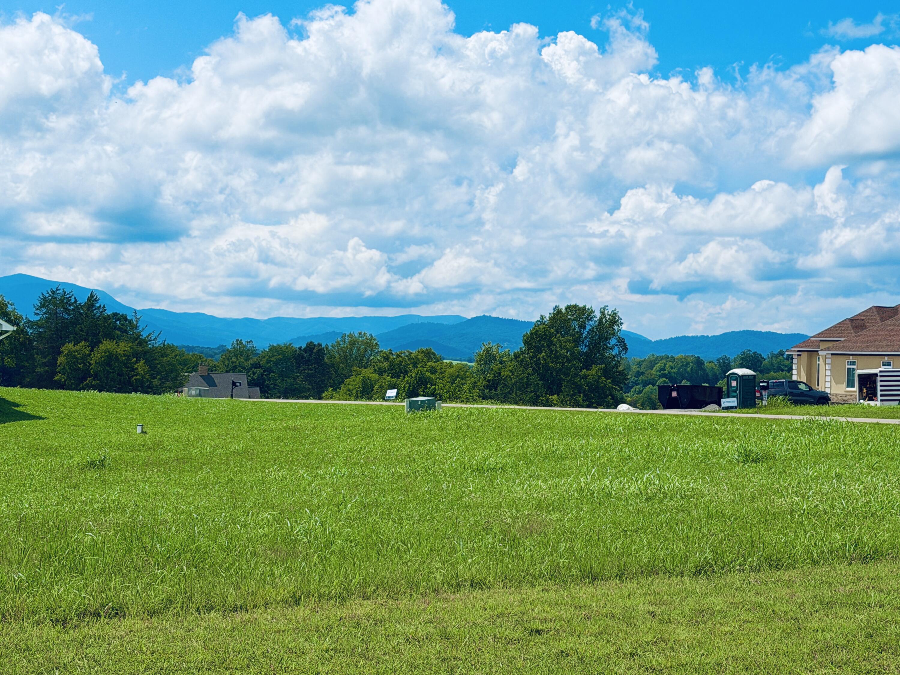 172 Nyle Ridge Road Wirtz, VA 24184 - Photo 2 of 13 IMG_8652 2