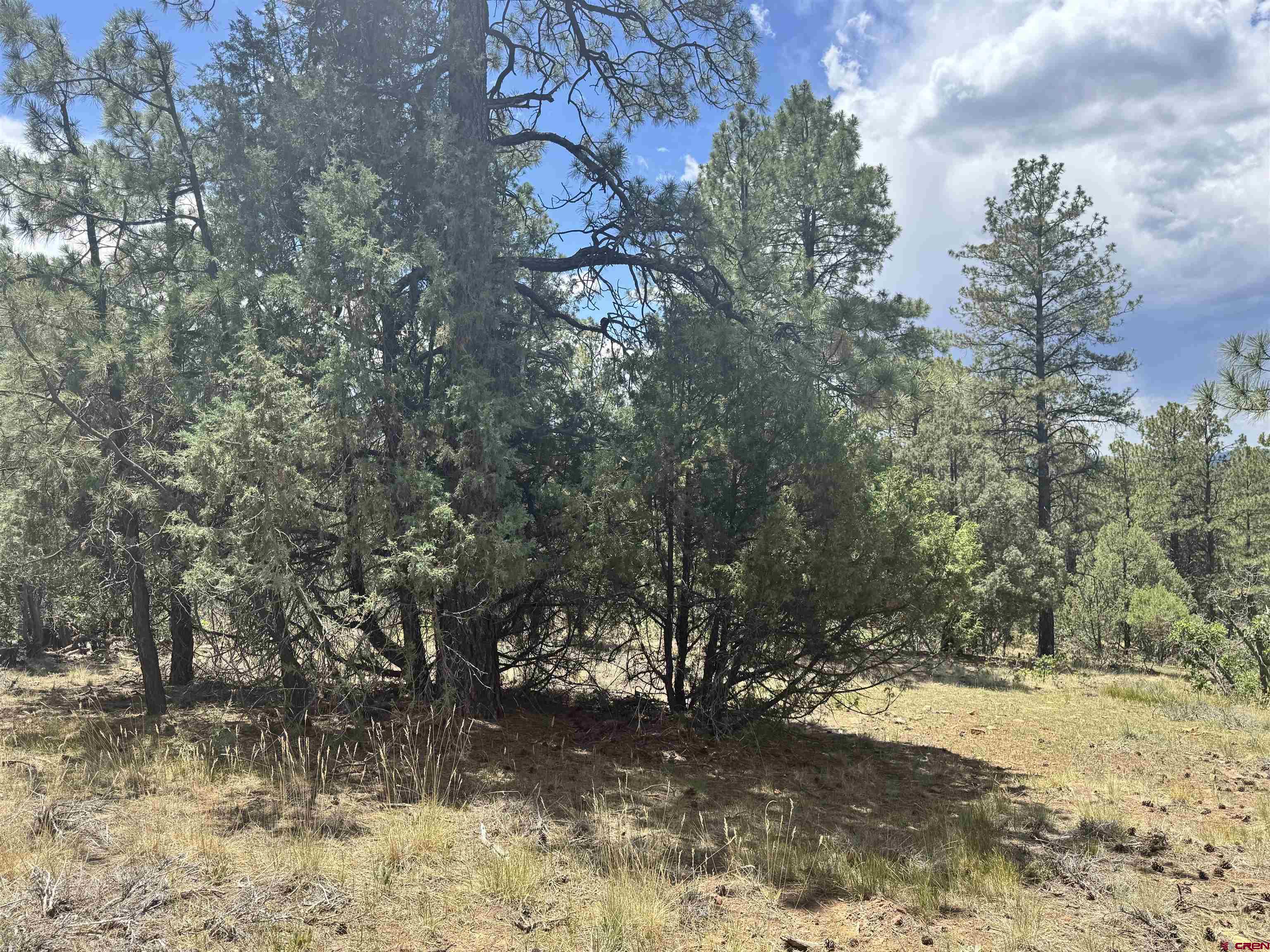 1259 Westview Road Pagosa Springs, CO 81147 - Photo 12 of 29