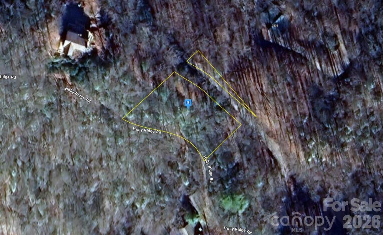 719 Holly Ridge Road Topton, NC 28781 - Photo 1 of 5 a view of a forest