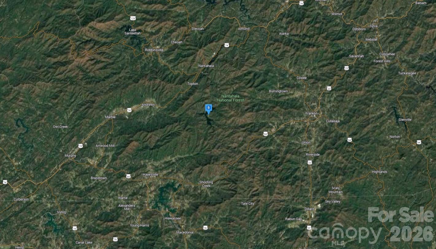 719 Holly Ridge Road Topton, NC 28781 - Photo 4 of 5 a view of a tree