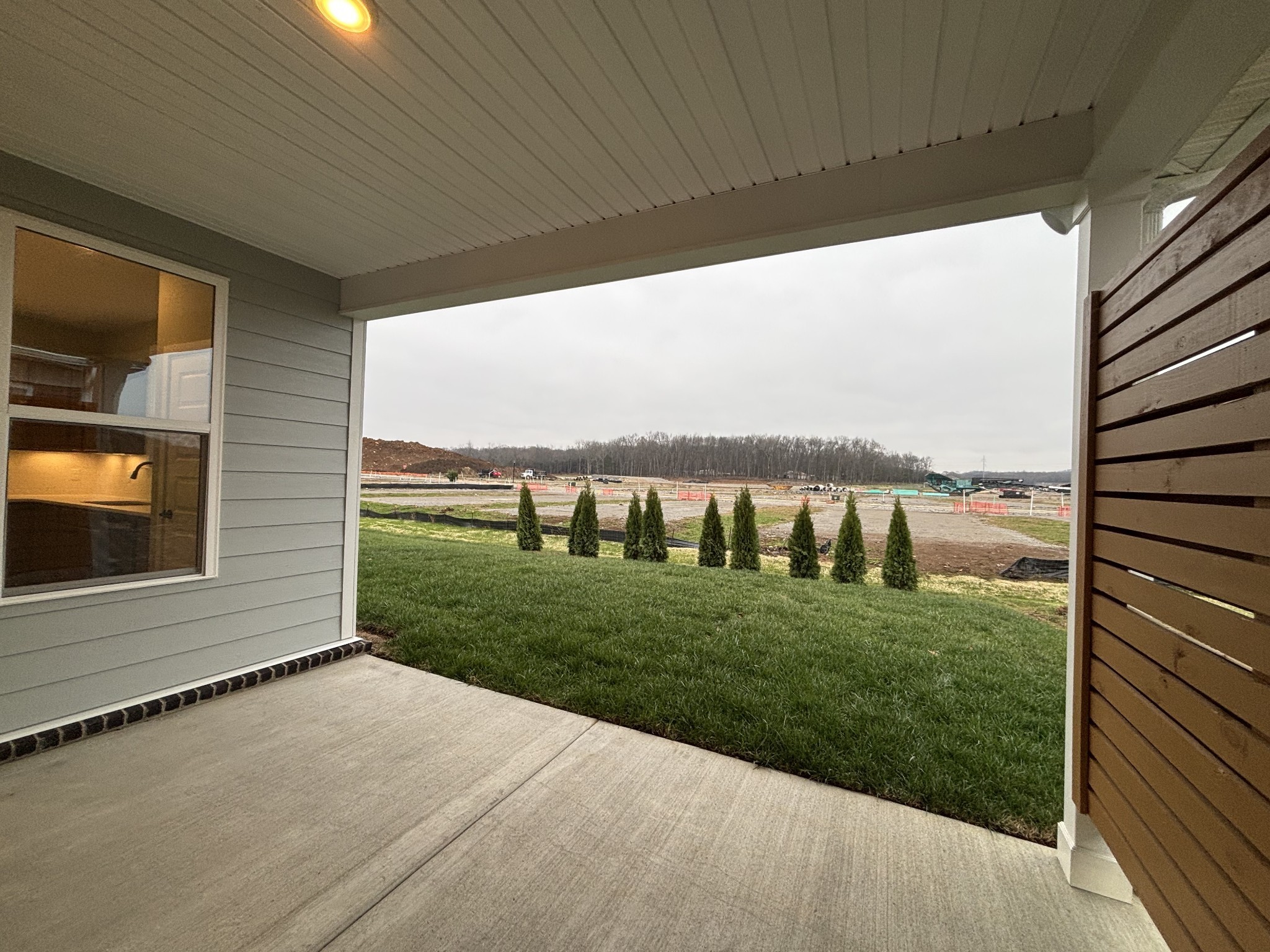519 Scarlet Oak Road Lebanon, TN 37090 - Photo 29 of 51 a view of a backyard with plants and a patio