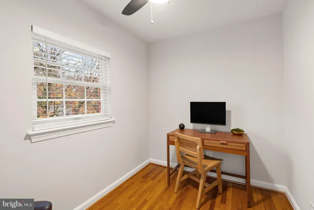 a living room with furniture plant and a potted plant