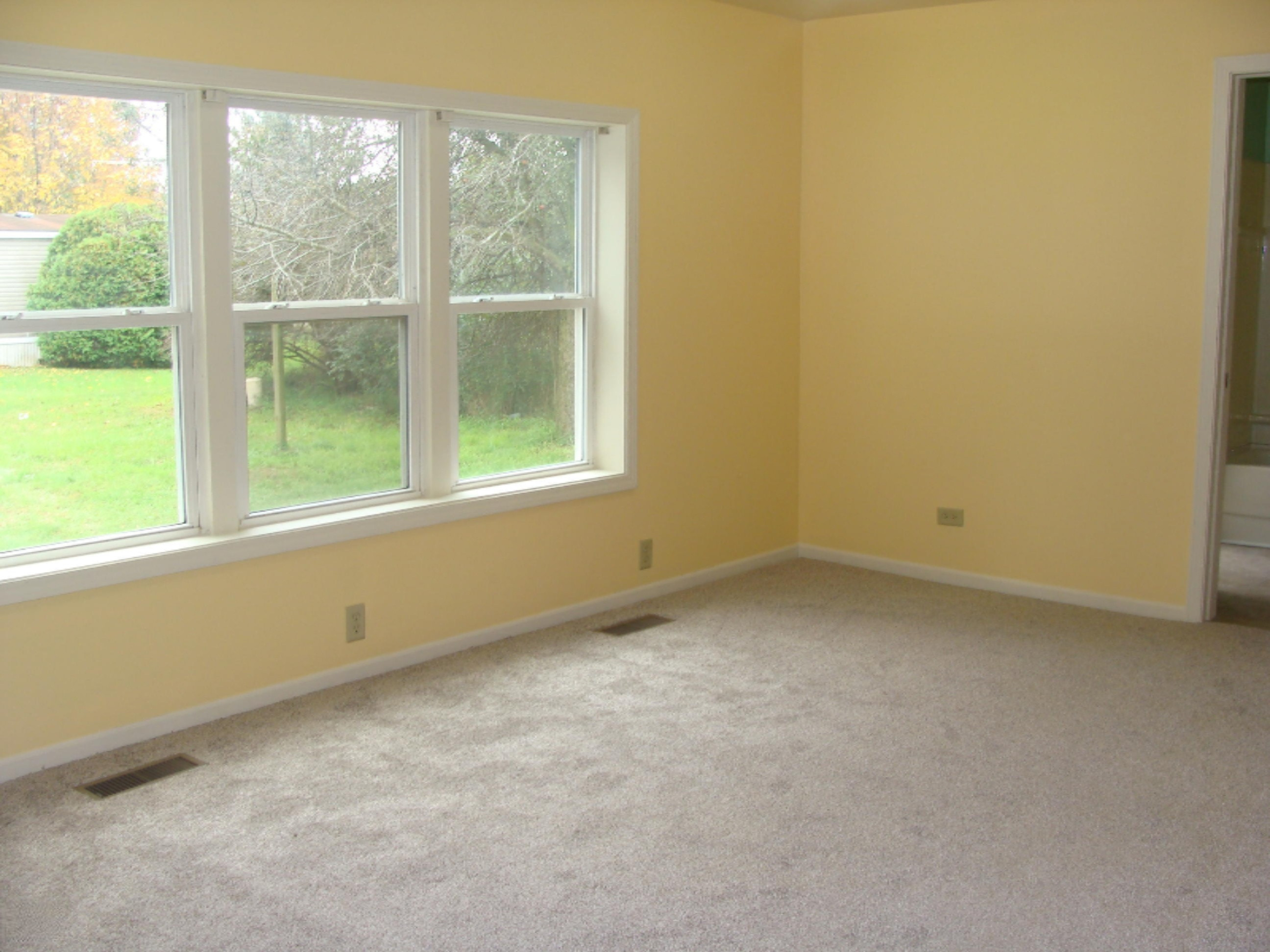 5134 Hinds Road Ionia, MI 48846 - Photo 10 of 24 DSC07590