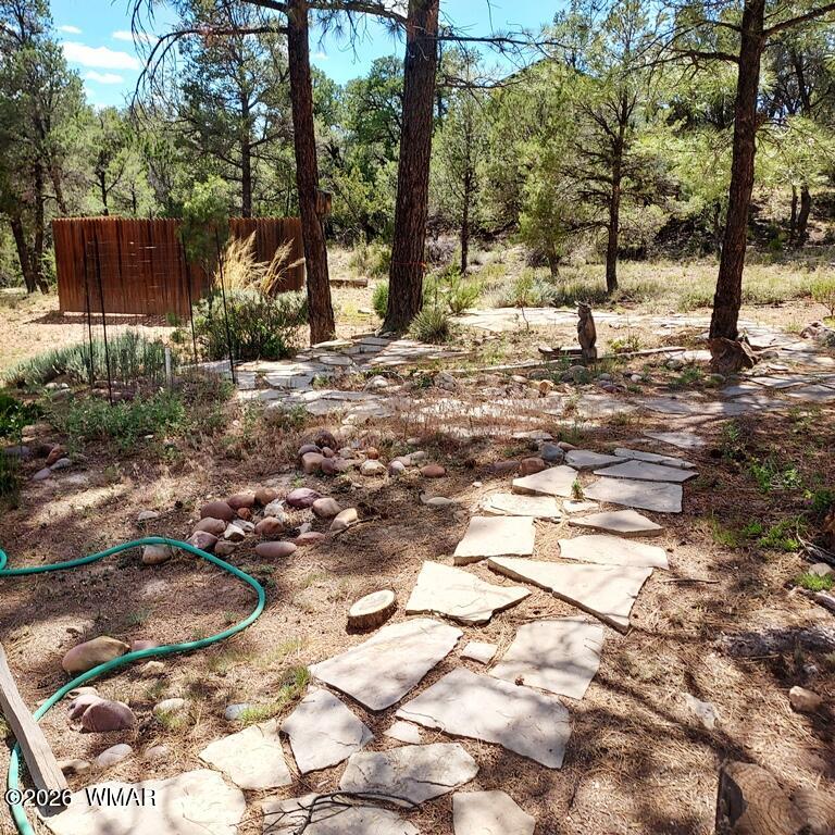 1920 Aspen Lane Overgaard, AZ 85933 - Photo 25 of 27