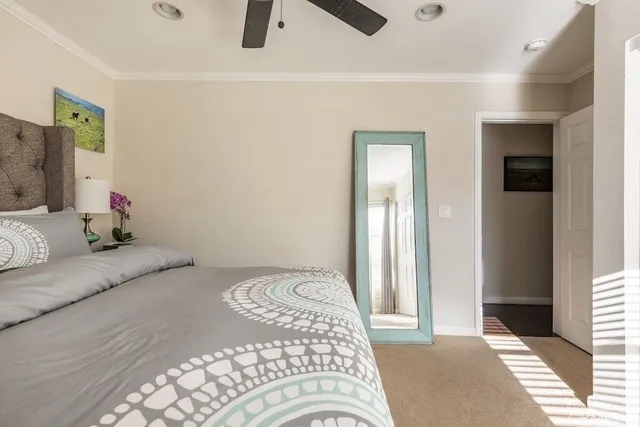 a bedroom with a bed and a couch