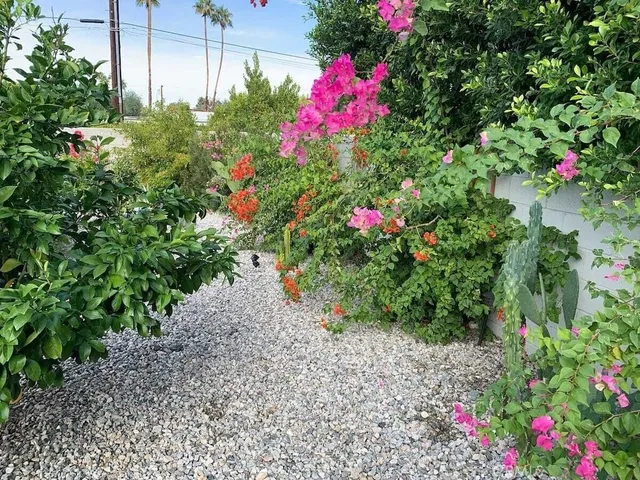 a view of a flower in a garden