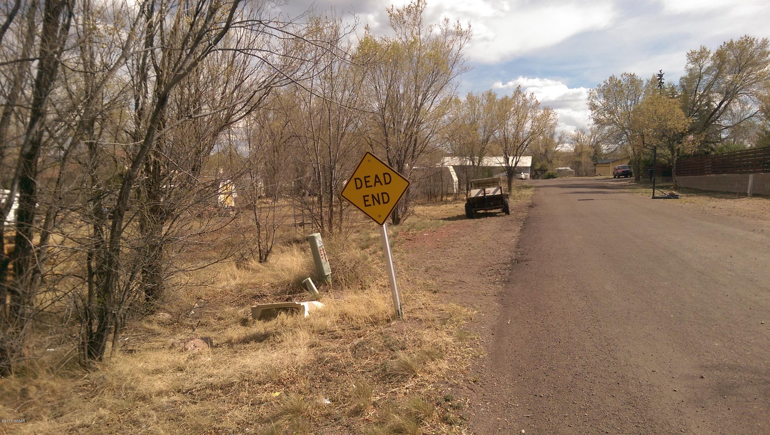 Lot 8 Hale Crest Springerville, AZ 85938 - Photo 3 of 4
