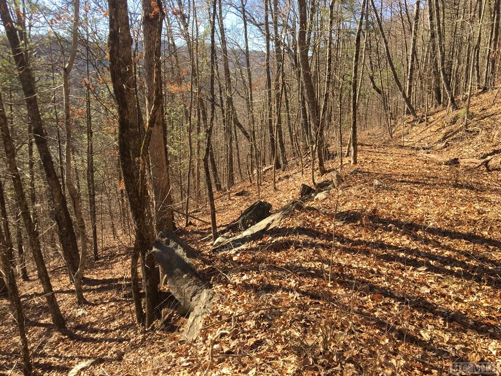 Tbd Strawberry Hill Road Cullowhee, NC 28723 - Photo 7 of 27 Gallery Image 7