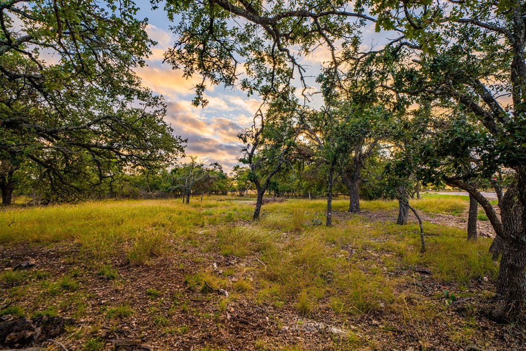 Lot 60 Reservation Road, Unit 60 Harper, TX 78631 - Photo 6 of 6 Gallery Image 6