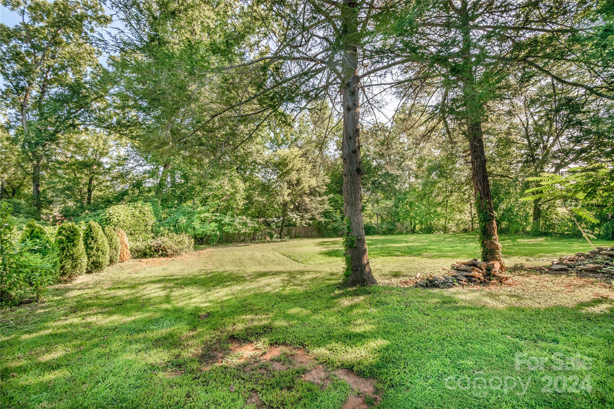 648 Chimney Rock Road Rutherfordton, NC 28139 - Photo 42 of 43 a view of backyard with tree