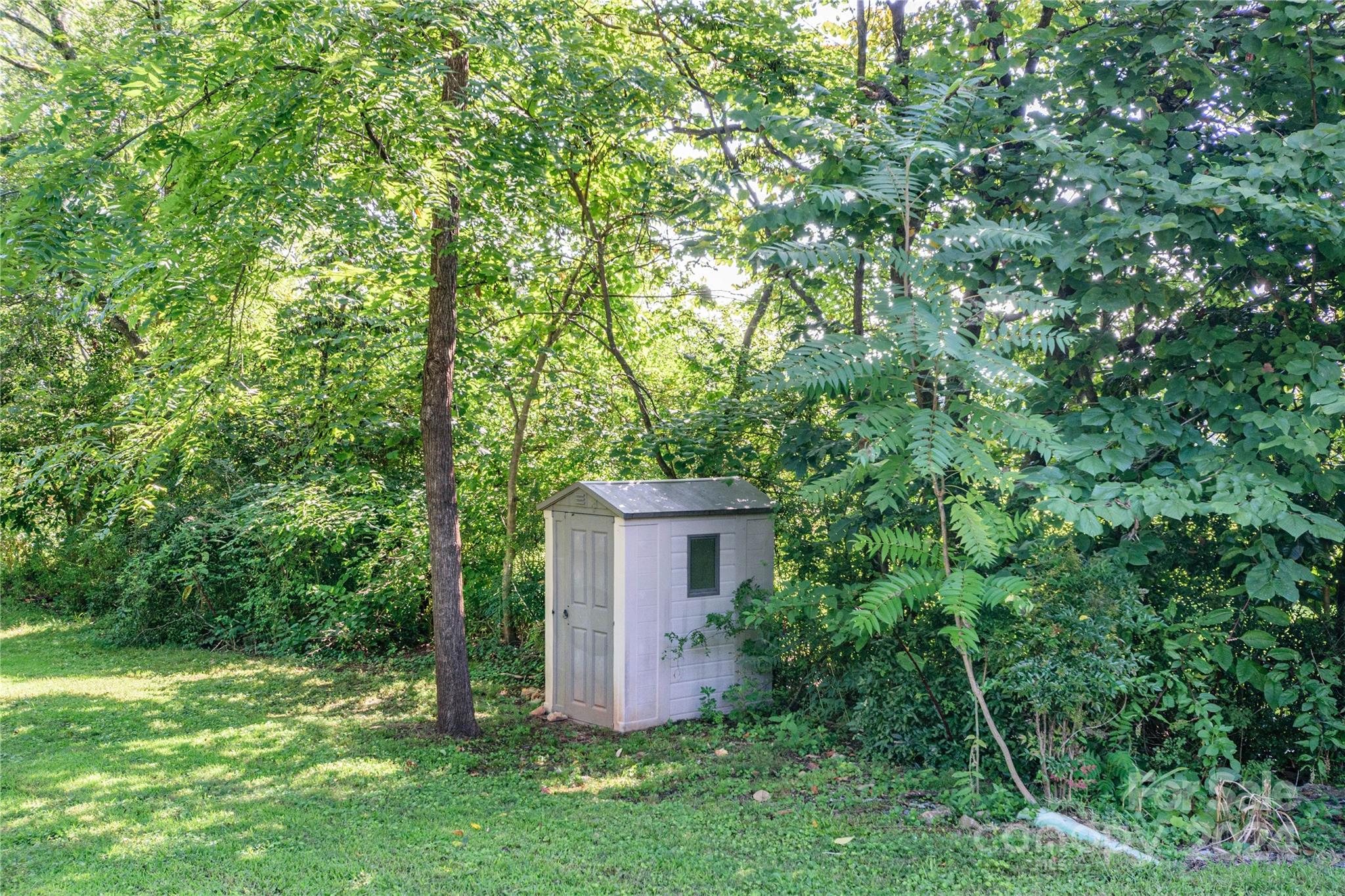 648 Chimney Rock Road Rutherfordton, NC 28139 - Photo 43 of 43 a view of a backyard with potted plants and large trees