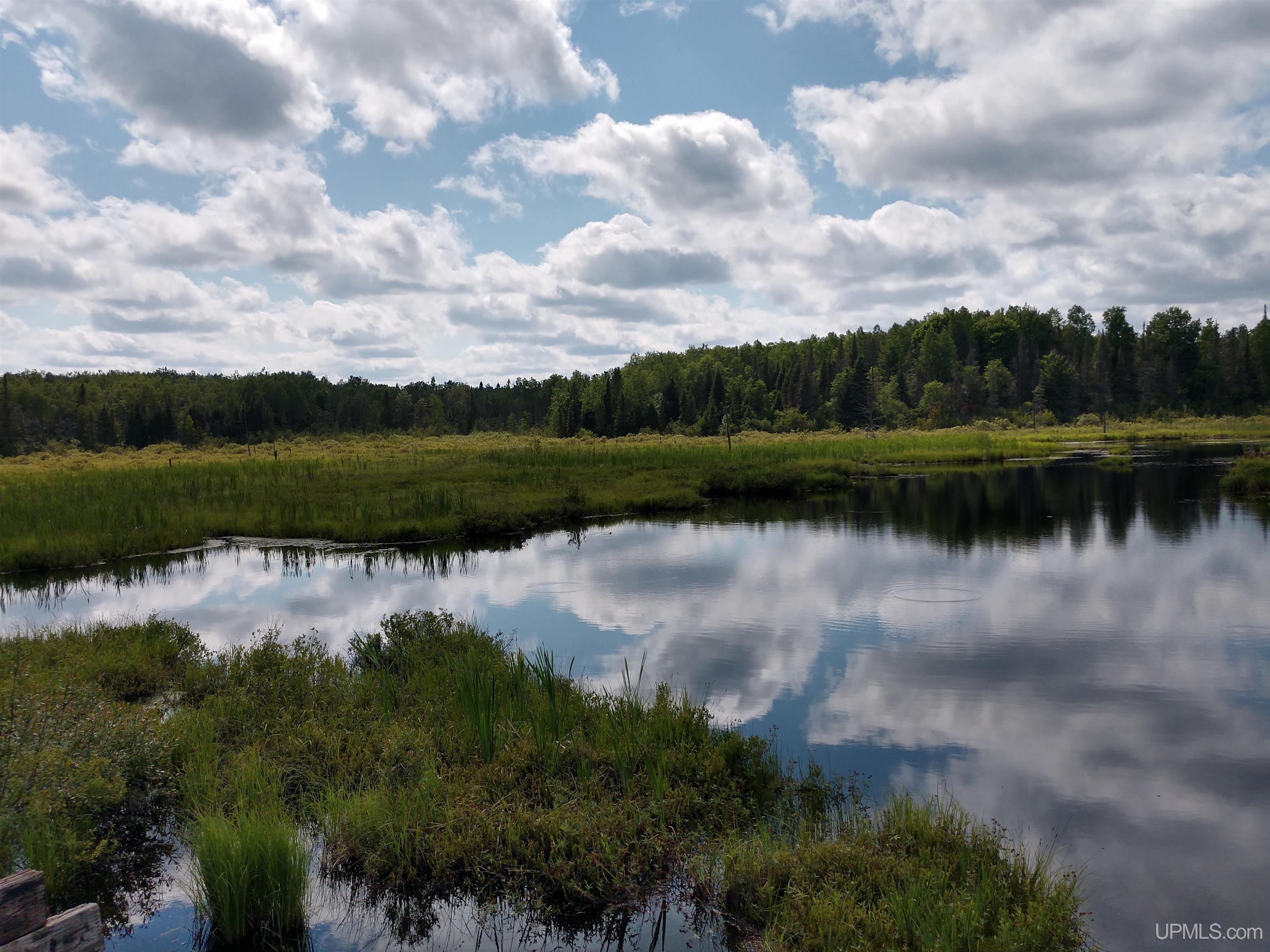601 County Road 601 Road Republic, MI 49879 - Photo 48 of 60