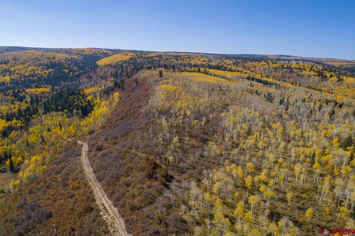 Tbd Transfer Road Montrose, CO 81403 - Photo 28 of 34