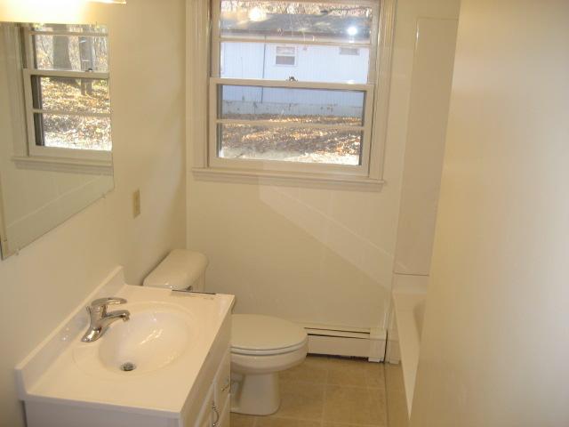 6206 Meacham Road Salem, VA 24153 - Photo 15 of 23 a bathroom with a sink a toilet and a window