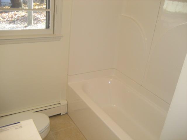 6206 Meacham Road Salem, VA 24153 - Photo 16 of 23 a bathroom with a bathtub and window