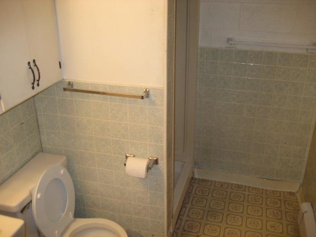 6206 Meacham Road Salem, VA 24153 - Photo 22 of 23 a bathroom with a toilet and a shower