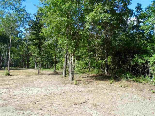 342 Duke Road Perry, GA 31069 - Photo 34 of 34 a view of outdoor space with trees