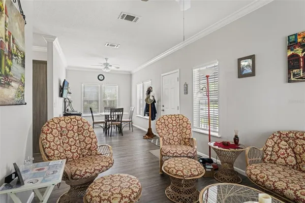 a living room with furniture potted plant and a window