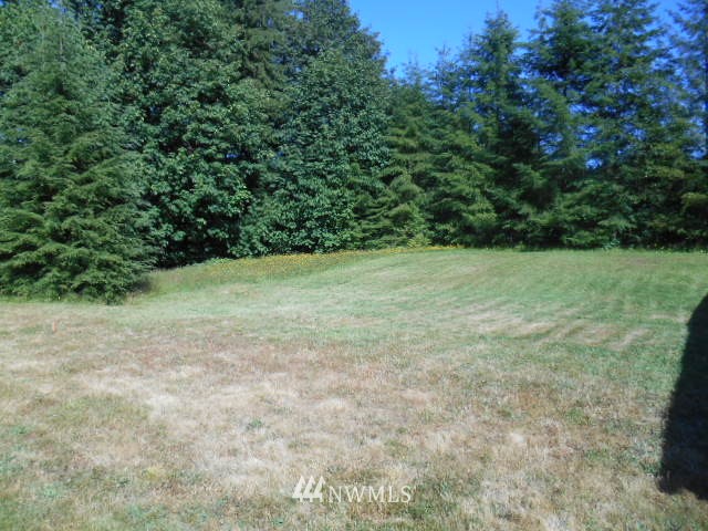 22505 North Forest Loop Road Granite Falls, WA 98252 - Photo 22 of 22