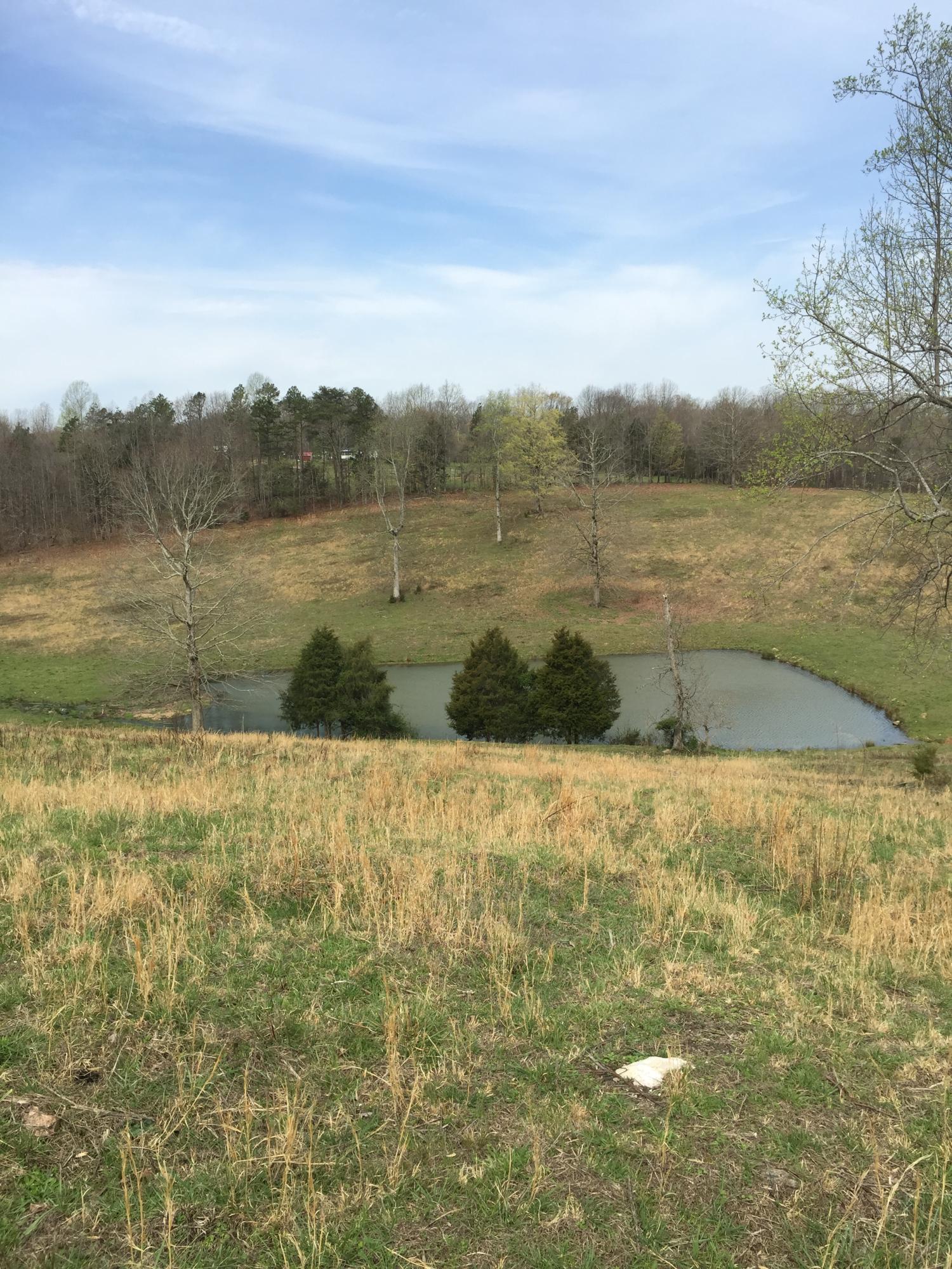 Erie Road Sweetwater, TN 37874 - Photo 1 of 29 IMG_3226