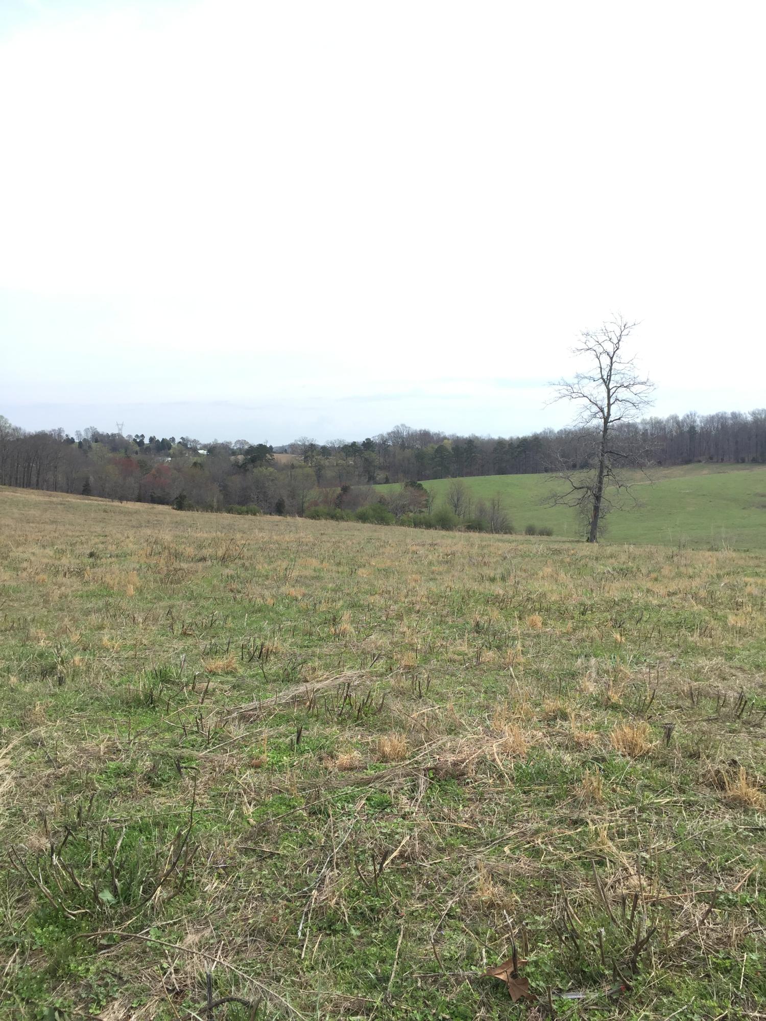 Erie Road Sweetwater, TN 37874 - Photo 2 of 29 IMG_3213